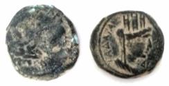 Ancient Coins - DECAPOLIS, GADARA. Titus. AS Caesar. 69 - 79 AD Dated 73 AD.