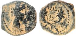 Ancient Coins - Nabataean Kingdom, Malichus II with Shaqilat, 40 - 70 A.D.