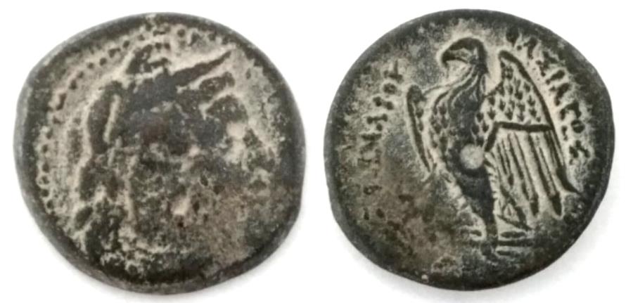 Ptolemaic Kingdom: Ptolemy II Philadelphos AE | Greek Coins