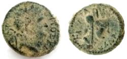 Ancient Coins - DECAPOLIS, GADARA. Titus. AS Caesar. 69 - 79 AD