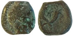 Ancient Coins - Nabataean Kingdom. Aretas IV. 9 B.C.-A.D. 40 AE ,