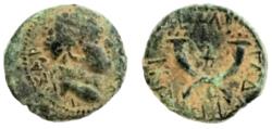 Ancient Coins - Syria. Decapolis, Gadara. Titus, 79 - 81 AD. AE