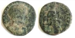 Ancient Coins - Nysa Scythopolis, Decapolis. Gordian III (238 - 244 AD). AE (23.2 mm-13.4 gm).