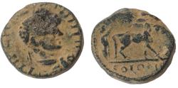 Ancient Coins - Elagabalus, Decapolis. Petra. AD 218-222.