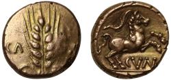 Ancient Coins - Ancient British, Catuvellauni and Trinovantes, Cunobelin, Gold Stater.