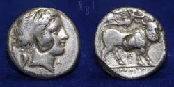 Ancient Coins - CAMPANIA: Neapolis. Circa 320-300 BC. AR Nomos, 7.24gm