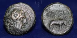 Ancient Coins - SELEUKIS and PIERIA: Apameia. 1st century BC. AE Folis, 8gm