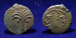 Ancient Coins - Judaea: Marcus Ambibulus Roman Prefect Under Augustus AE Prutah 9-10 AD, 1.58gm
