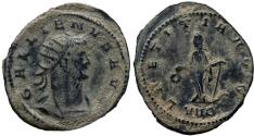 Ancient Coins - Gallienus. AD 266-267.