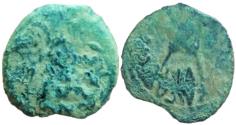 Ancient Coins - JUDAEA, Procurators. Antonius Felix. 52-59 CE. Æ