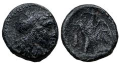 Ancient Coins - Ptolemaic Kingdom: Ptolemy II Philadelphos.