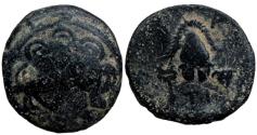Ancient Coins - CYPRUS, Salamis. Nikokreon. Circa 331-310 BC