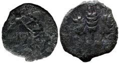 Ancient Coins - JUDAEA, Herodians. Agrippa I. 37-43 CE. AE Prutah .Jerusalem mint.