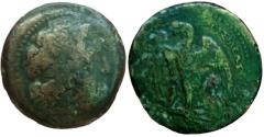 Ancient Coins - Ptolemaic Kingdom: Ptolemy II Philadelphos.