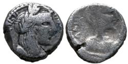 Ancient Coins - Malichus II with Shaquilate 40 - 70 AC