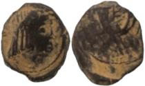 Ancient Coins - Syllaus with Shaquilate  15 - 9 BC