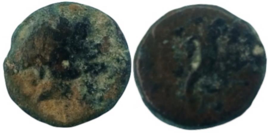 Ancient Coins - Phoenicia. Akko-Ptolemais. 175-164 BC Time of Antiochos IV. AE 16