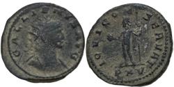 Ancient Coins - Gallienus. AD 266-267.