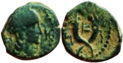 Ancient Coins - Syllaus with Aretas IV. 15 - 9 BC