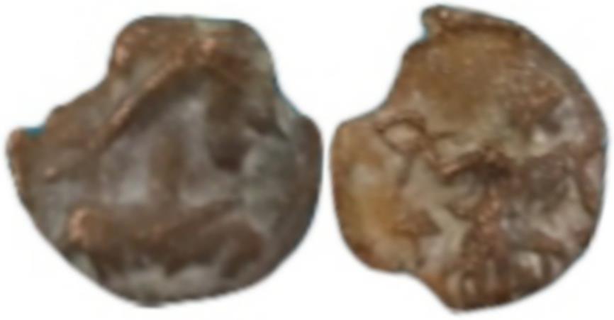 Ancient Coins - VANDALS, Carthage. Municipal Coinage. Circa 480-533.