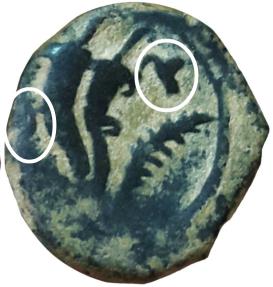Ancient Coins - Aretas IV with his daughter Phasaelis, 9 BC -40 AD. The 2 letters of Phasaelis is retrograde. Struck error