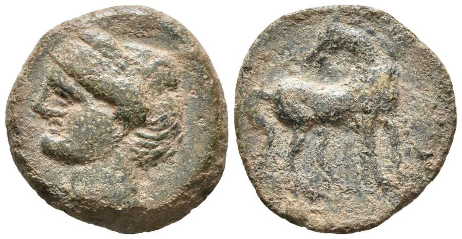 Cartagonova Tracing 2 215 Cartagena Murcia A Head Of Tanit Crowned With Grain R Horse Standing Head Turned Fab 509 Ae 6 18g Vg