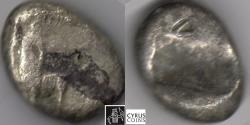 Ancient Coins - ITEM #1195, ANCIENT PERSIAN EMPIRE ACHAEMENID KINGS, AR SIGLOS, obliterated obverse by one noticeable banker's test mark (Ach 201) letter V on reverse