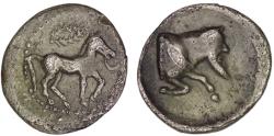 Ancient Coins - Sicily. Gela. (465-450 BC). AR Litra