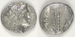 Ancient Coins - LUCANIA - Metapontion, AR Nomos or Stater, circa 330-290 BC, Extra Fine