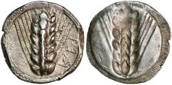 Ancient Coins - Stater from Metapontion in Lucania (510-470 BC)
