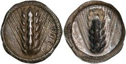Ancient Coins - Stater from Metapontion in Lucania (510-470 BC)
