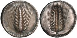 Ancient Coins - Nomos from Metapontion in Lucania (ca. 540-510 BC)