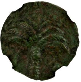 ZEUGITANA, CARTHAGE Sicily “Pegasus“ NGC Ch EF, “Pegasus“ 350-300 BC