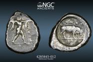 Ancient Coins - Lucania, Posidonia NGC Ch F 4/5 3/5 – STANDING BULL - AR Stater - Greek Italy. Northern c. 470-445 BC. D/ Poseidon advancing right, chlamys over shoulders, brandishing trident.
