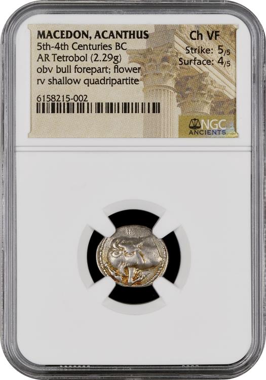 標本 Ecuador Sphaenognathus kolbei 34mm 標本 Ecuador Sphaenognathus kolbei 34mm LUCANIDAE