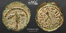 Ancient Coins - Herod I the Great AE - Scacer 3-Prutot - 1mm 4.28g NGC Ch Fine. Samaria(?), dated Regnal Year 3 (38/7 BC).  Macedonian shield with decorated rim / ΗΡΩΔΟΥ ΒΑΣΙΛΕΩΣ, crested Macedoni