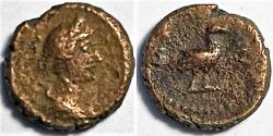 Ancient Coins - Roman Imperial Anonymous AE Quadrans Diademed Venus & Dove RIC 24