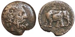 Ancient Coins - KINGS of NUMIDIA, Juba I , AE28. Circa 60-46 BC. Zeus Ammon/Elephant. RARE.