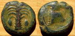 Ancient Coins - ZEUGITANA, Carthage. Circa 325-275 BC. Sicilian mint. Æ 18mm (6.15 gm).