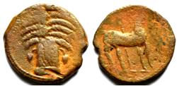 Ancient Coins - Punic Zeugitana Carthage Æ Shekel. Uncertain Punic mint, circa 300-264 BC. RARE