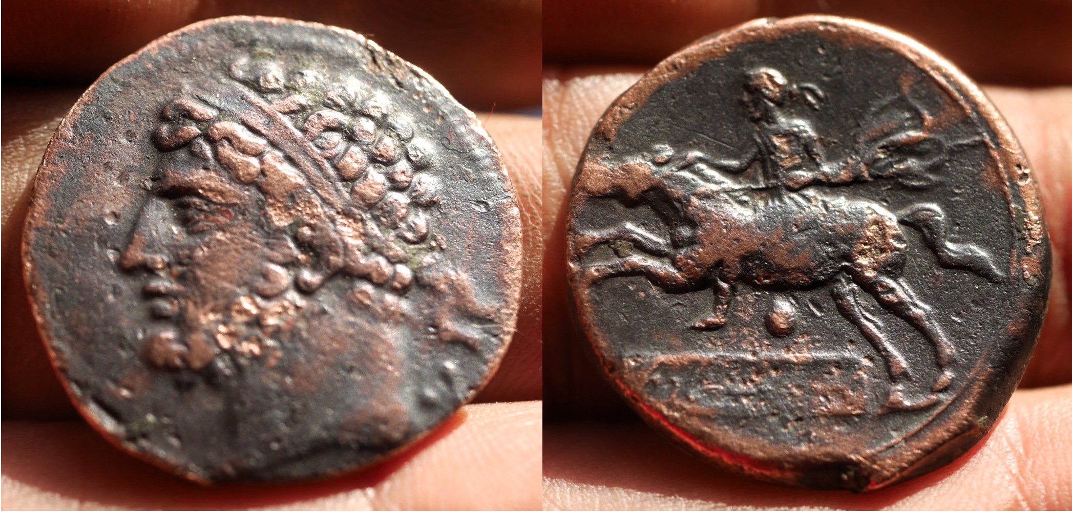 NUMIDIA, Kings of. Syphax. Circa 213202 BC. Æ 26mm (8.31 gm