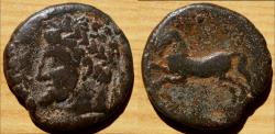 Ancient Coins - KINGS OF NUMIDIA. AE Unit. Massinissa or Micipsa. 148-118 BC.