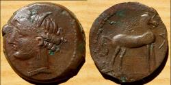 Ancient Coins - Punic Zeugitana Shekel Sardaigne , c. 264-241 BC; AE (g 7.51; mm 22)