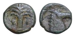 Ancient Coins - Zeugitania, Carthage; Sicilian mint, c. late 4th - early 3rd cent. BC, AE 16mm 4,5g .Palm tree with two bunches of dates. Rx: Horse's head and neck r. Palm tree in high relief .