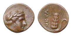 Ancient Coins - Lucania, Bronze, Metapontion, c. 300-250 BC AE14,5mm 2,8g  Head of Demeter r., wearing barley-wreath and pendant earring, Rv. META, barley-ear with leaf to r.