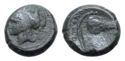 Ancient Coins - Anonymous. ca. 260 B.C. AE half unit (18 mm, 7,4g). Neapolis mint. [ROMANO], Helmeted head of Minerva left / [ROMANO], bridled horses head r..