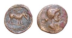 Ancient Coins - Roman Provincial Uncertain  JUDAEA? Caesarea Maritima ? Palmyra ? 1st-3rd centuries CE. Æ 'Minim' 9,5mm 0.6 g Female Head ? Apollo ?/ Boar standing right; behind, palm tree.