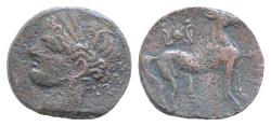 Ancient Coins - CARTHAGE, First Punic War. Circa 264-241 BC. Æ Shekel (25mm, 11,2g, ). Carthage mint. Wreathed head of Tanit left / Horse standing right; above, radiate sun-disk