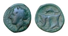 Ancient Coins - Campania, Neapolis Æ 12,5mm.1,07g  Circa 340-280 BC. Laureate head of Apollo to left before, Λ or A behind / Forepart of man-headed bull to left dolphin