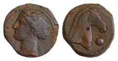 Ancient Coins - North Africa, Carthage Æ 19mm.5,7g. Mint on Sardinia, 300-264 BC. Head of Kore to left, wearing wreath of corn / Horses head to right